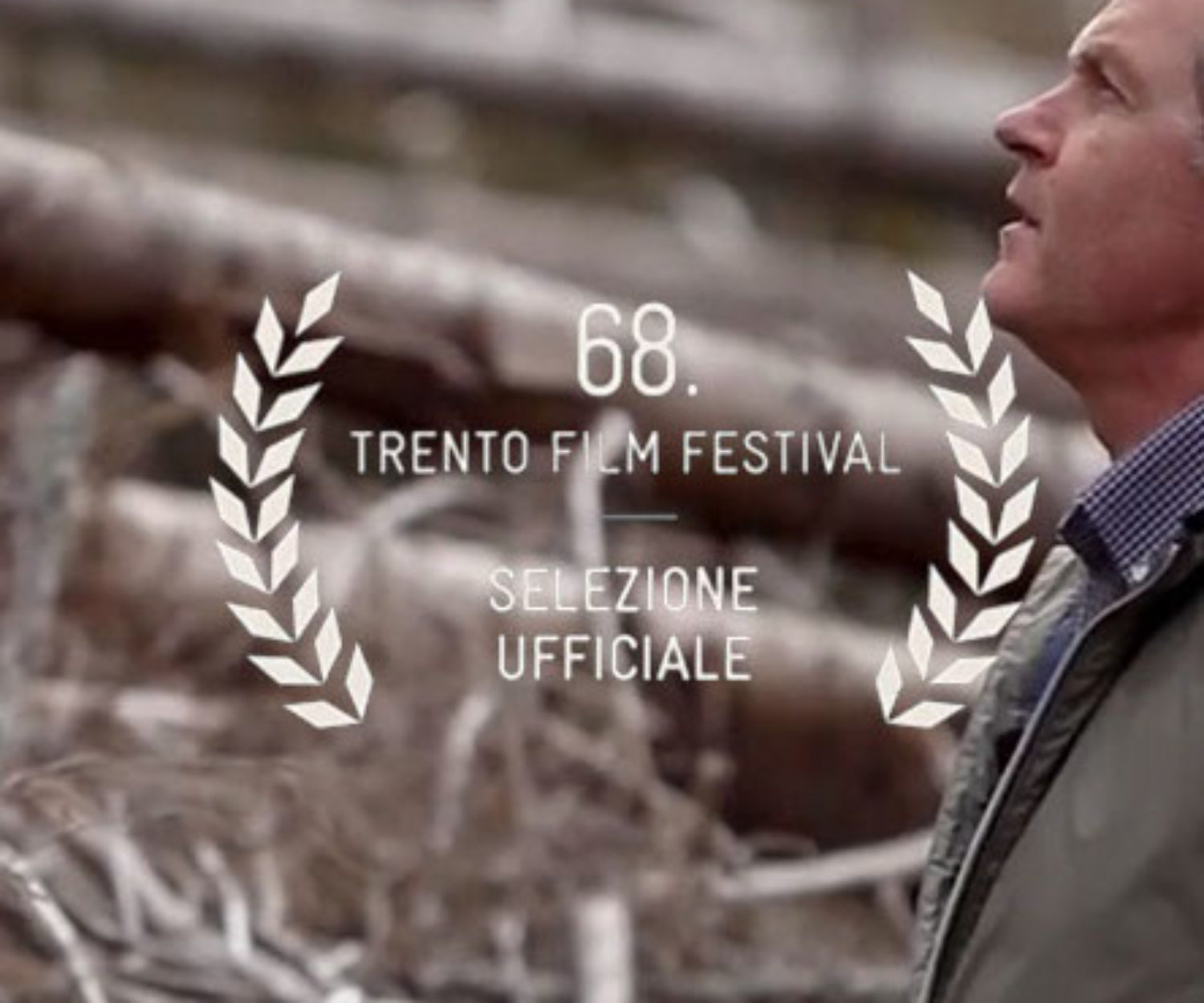 Documentario portfolio AMS